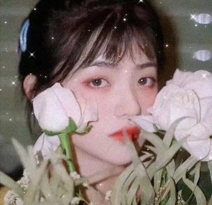 金刚之子
